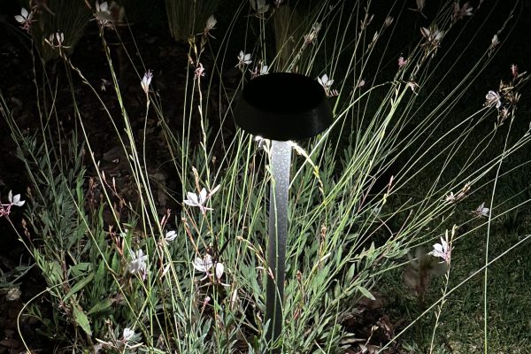 IMG_4799
